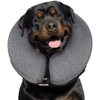 2. MIDOG Pet Inflatable Collar